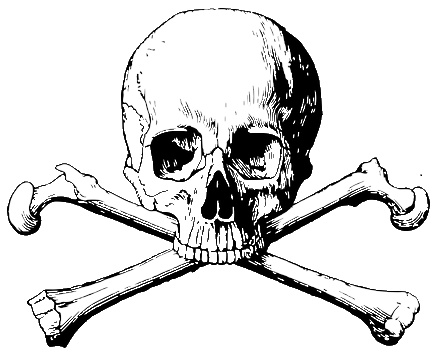 File:FloatingSkullMonster.png