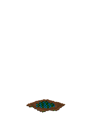 File:MixedThreeSeeds1.png