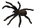 Thumbnail for version as of 18:12, 7 March 2024