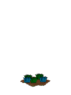File:MixedSeeds3.png