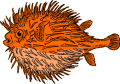 Thumbnail for version as of 11:31, 12 January 2025